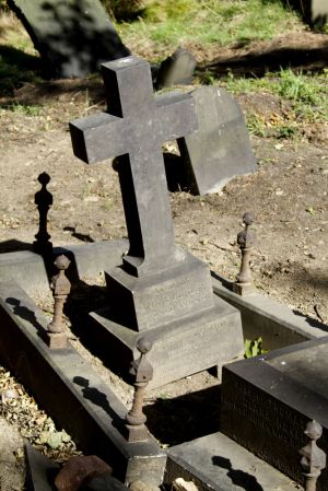 undercliffe ann buckley sm.jpg